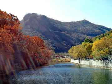 澳门天天免费精准大全，免拆模板